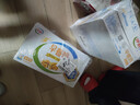 伊利早餐奶核桃味 250ml*24盒 优选核桃早餐伴侣 礼盒装 实拍图