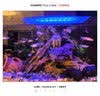 派乐特鱼缸底砂造景石头子五彩石溪流石水族箱龟缸多肉装饰彩色雨花五斤 实拍图