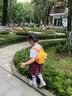尼多熊儿童袜子夏季足球袜长筒袜网眼女童中筒学生袜男童不过膝抗菌防臭 实拍图