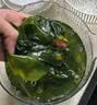 赶海弟 盐渍海带苗250g 火锅食材配菜 新鲜头茬嫩苗海带芽丝 南北干货 实拍图