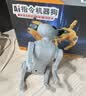 澳梦星ai智能语音遥控机器狗儿童玩具仿真机械狗组装机器人男孩六一礼物 实拍图
