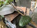 淘歌鱼缸氧气泵养鱼增氧泵低音大气量家用鱼缸增氧打氧机AP988(12w) 实拍图