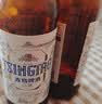 青岛啤酒（TsingTao）精酿白啤全麦原麦汁浓度10°P  500ml*12瓶整箱装 中秋节送礼 实拍图