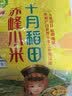 十月稻田 赤峰小米 1kg 内蒙古敖汉旗 黄小米杂粮 小米黄小米 实拍图