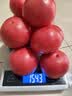 京鲜生陕西正宗普罗旺斯西红柿净重3斤中果110g+水果番茄源头直发 实拍图