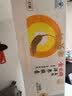 金日美国洋参胶囊312粒抗疲劳保健品西洋参花旗参礼品礼盒中秋送礼 实拍图