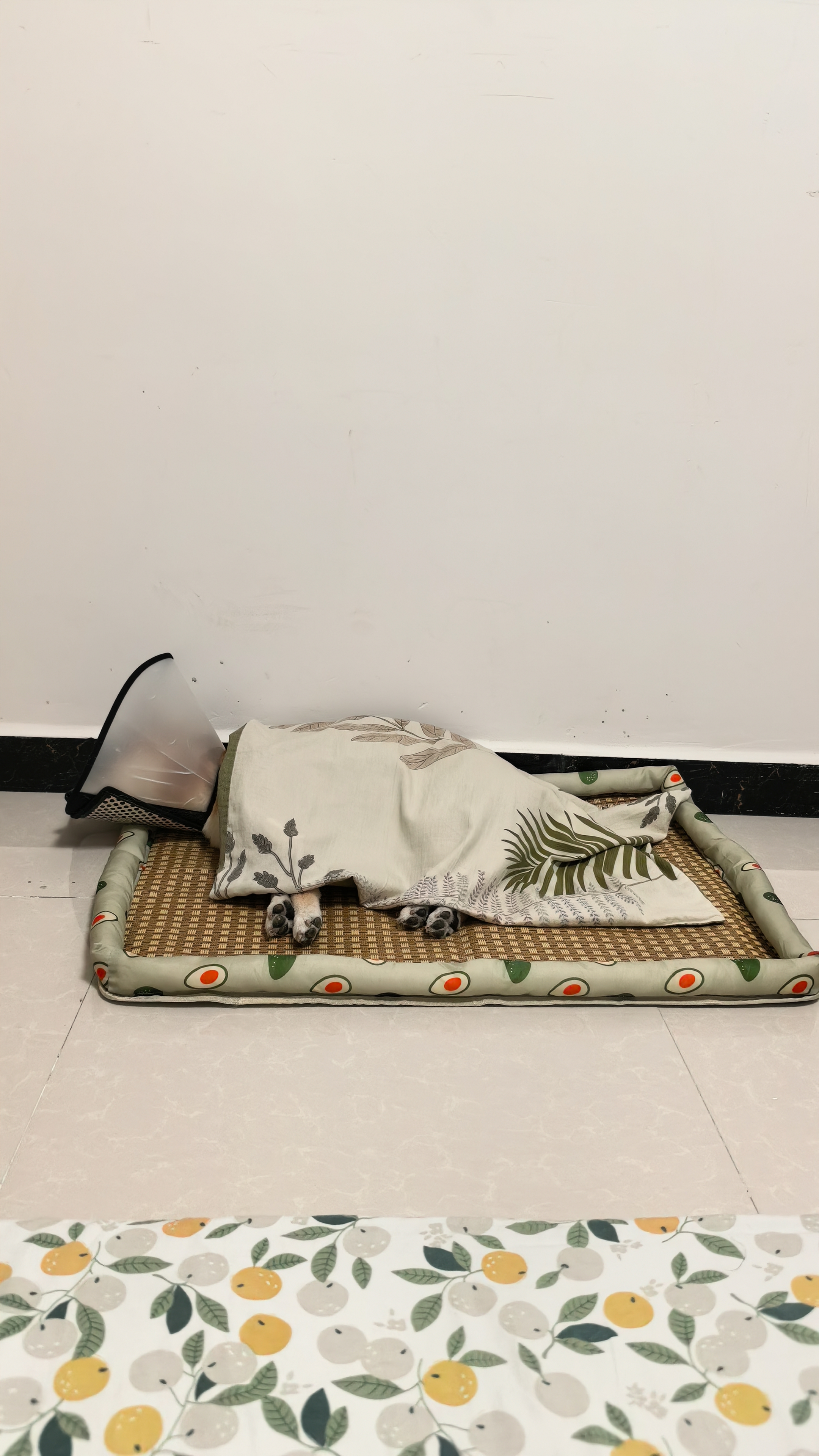 华元宠具狗窝垫子四季通用大型犬春夏深睡狗狗床宠物沙发可拆洗睡垫猫咪窝 实拍图