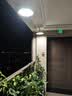 精忠报国植物补光灯大棚蔬菜花卉led室内绿植专用仿太阳全光谱园林生长灯 【仿太阳全光谱补光灯】中性100W 配3米灯头线 实拍图