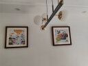紫腾随轩年年有鱼餐厅装饰画新中式九鱼图荷花客厅饭厅挂画卧室壁画 图3 40*40cm红木色实木框 实拍图