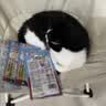 伊纳宝ciao猫零食成猫猫条宠物零食妙好啾噜流质零食布偶猫湿粮鱼条 【健康管理】随机混合14g*20条 实拍图