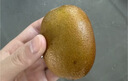 佳沛（zespri）新西兰阳光金奇异果巨大果22粒原箱单果146-175g 猕猴桃水果礼盒 实拍图