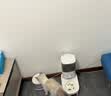 霍曼（Homerun）宠物双无线饮水机BF21 自动饮水器猫咪饮水机无线续航自由摆放 实拍图