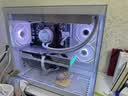 华硕天选RTX5070/5060Ti/5060显卡14600KF/270K Plus组装电脑台式主机3D游戏电竞DIY整机天选姬海景房 Ultra5 230F+华硕RTX5060 配置九 实拍图