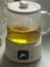 小熊（Bear）全玻璃养生壶 纯玻璃煮茶壶 恒温壶 多功能炖煮花茶壶 1.5L YSH-E15Q3 实拍图