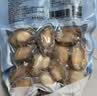 江船长无壳鲍鱼肉净重110g(12粒）活鲍加工 火锅烧烤海鲜 生鲜 实拍图