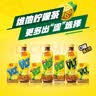 维他奶维他低糖柠檬味茶饮料250ml*16盒 家庭聚会 分享装 实拍图