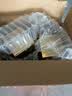 茅台 2026年 飞天  酱香型白酒 53度 500ml 单瓶装【酒厂直供】 实拍图