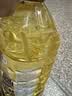 初萃中粮高油酸葵花籽油5L 一级 物理压榨 食用油 油酸含量≥80% 实拍图