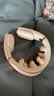 SKG【教师节礼物】颈椎按摩仪G7Ultra【礼盒款】护肩颈部脖子按摩器钛金脉冲热敷送老师男女友生日 实拍图