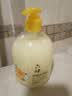 六神洗手液金盏菊抑菌洗手护手500ml(清爽温和洁净泡沫均衡 滋润) 实拍图