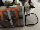 HELLOJOY猫包外出宠物便携单肩书包太空舱背包狗狗猫咪猫笼子外带携带用品 实拍图