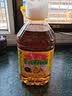鲁花【保真菜籽油】食用油低芥酸特香菜籽油5L  /桶非转基因 实拍图