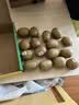 佳沛（zespri）新西兰阳光金奇异果16粒礼盒经典果单果 88-103g  猕猴桃水果礼盒 实拍图