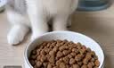 好主人成猫猫粮全价成猫天然粮通用鸡肉味猫粮2.5kg*3 实拍图