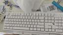 GANSS 3104TPro/3087TPro/3108TPro客制化机械键盘104键高斯三模RGB无线键盘蓝牙有线插拔办公游戏键盘 3104TPro白色【GASKET结构】三模RGB KTT静音红轴 实拍图