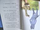 一只想飞的猫（升级版） 人教版快乐读书吧 二年级上册（含音频资源）与新教材配套使用（新旧封面随机发货） 开学季 实拍图