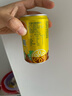 维他奶维他气泡柠檬味碳酸茶饮料200ml*12罐分享装 实拍图