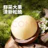 三只松鼠京觅联名夏威夷果1000g24-26mm儿童每日坚果炒货休闲零食团购送礼 实拍图
