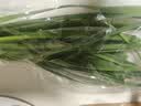 七鲜24小时绿色韭菜 250g 实拍图