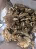 姚生记原味新疆核桃仁300g 阿克苏大核桃仁休闲零食 每日坚果炒货干果仁 实拍图