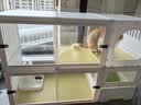 蔻丝猫别墅带厕所一体家用透明猫笼子大号猫柜 实拍图