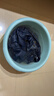 茶花 塑料盆39cm大号洗脸盆子洗衣服内裤盆成人儿童洗脚清洁盆 实拍图