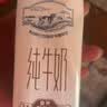蒙牛【新鲜日期】特仑苏纯牛奶250ml*16盒 家庭早餐 送礼礼盒 实拍图