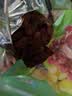 魏尔夫红绿香妃葡萄干500g*2新疆新货特产级儿童无添加剂免洗无核大颗粒 实拍图