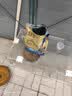 麦富迪狗粮 舒然鱼油狗粮成幼犬粮比熊贵宾清火祛泪痕 鸭肉梨2kg 实拍图