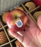 苹果先生Mr Apple 新西兰皇后红玫瑰苹果12粒礼盒 单果150g起 源头直发  实拍图