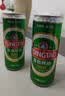 青岛啤酒（TsingTao）经典330ml*12罐整箱装 原麦汁浓度11.0°P 拉格啤酒 中秋节送礼 实拍图