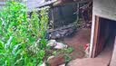 鸣胜家用监控摄像头手机远程监控器360度无死角带夜视全景语音室外无线wifi可对话户外防水旋转球机 实拍图