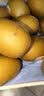 佳沛（zespri）新西兰阳光金奇异果16粒礼盒经典果单果 88-103g  猕猴桃水果礼盒 实拍图