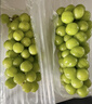 京鲜生 阳光玫瑰青提净重2.8-3.3斤装单果10g+葡萄/提子源头直发 实拍图
