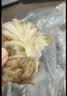 一旬一味咸蛋黄烧麦420g*3袋儿童糯米大烧卖  家庭速冻早餐 中秋送礼 实拍图