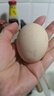 大码鲜鸡蛋1.8kg 实拍图