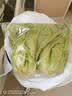 罗马生菜约500g 实拍图