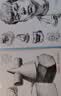 4册《素描基础教程》入门临摹教材书籍零基础初学自学起步石膏几何体静物结构人物头像铅笔绘画画册美术技法   实拍图