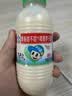 李子园成毅同款甜牛奶饮品低脂低糖原味 225ml*20瓶整箱早餐下午茶 实拍图