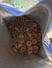LEGENDSANDY蓝氏狗粮真鲜乳鸽中小型犬泰迪比熊生骨肉冻干鲜肉犬粮1.5kg3斤 实拍图